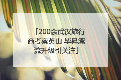 200余武汉旅行商考察英山 毕昇漂流升级引关注