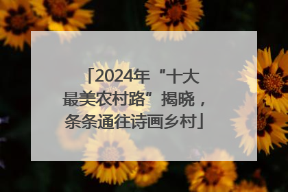 2024年“十大最美农村路”揭晓，条条通往诗画乡村