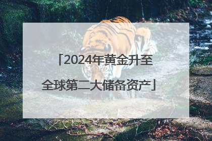 2024年黄金升至全球第二大储备资产