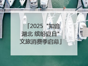 2025“知音湖北 缤纷夏日”文旅消费季启幕