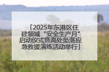 2025年东港区住建领域“安全生产月”启动仪式暨高处坠落应急救援演练活动举行