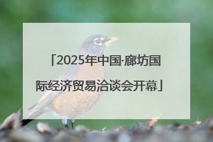 2025年中国·廊坊国际经济贸易洽谈会开幕