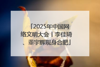 2025年中国网络文明大会丨李佳琦、董宇辉现身合肥