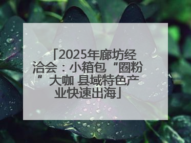 2025年廊坊经洽会：小箱包“圈粉”大咖 县域特色产业快速出海