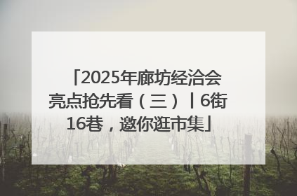 2025年廊坊经洽会亮点抢先看（三）丨6街16巷，邀你逛市集