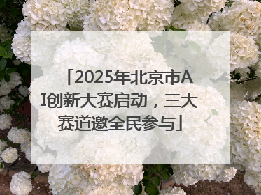2025年北京市AI创新大赛启动，三大赛道邀全民参与