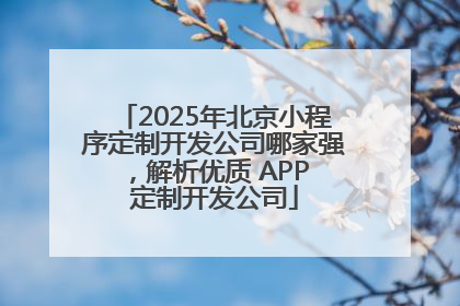 2025年北京小程序定制开发公司哪家强，解析优质 APP 定制开发公司