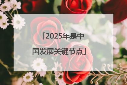 2025年是中国发展关键节点