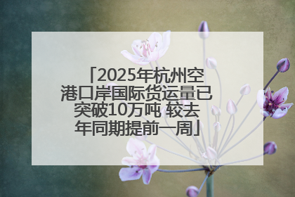 2025年杭州空港口岸国际货运量已突破10万吨 较去年同期提前一周