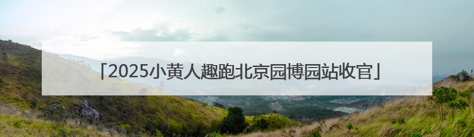 2025小黄人趣跑北京园博园站收官