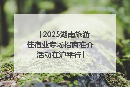 2025湖南旅游住宿业专场招商推介活动在沪举行