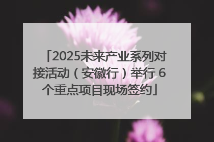 2025未来产业系列对接活动（安徽行）举行 6个重点项目现场签约