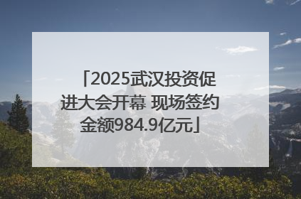 2025武汉投资促进大会开幕 现场签约金额984.9亿元