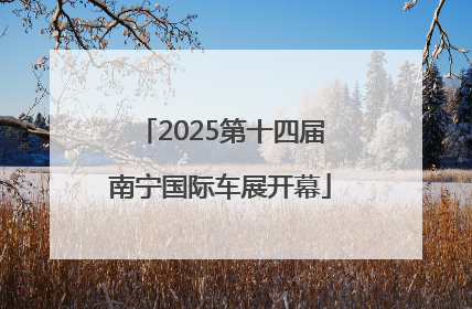 2025第十四届南宁国际车展开幕
