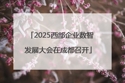 2025西部企业数智发展大会在成都召开