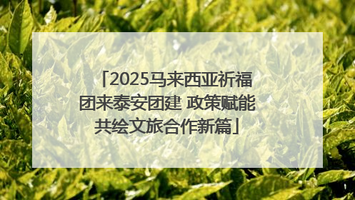 2025马来西亚祈福团来泰安团建 政策赋能共绘文旅合作新篇