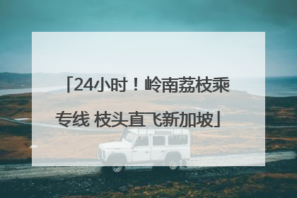 24小时！岭南荔枝乘专线 枝头直飞新加坡