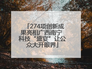 274项创新成果亮相广西南宁 科技“盛宴”让公众大开眼界