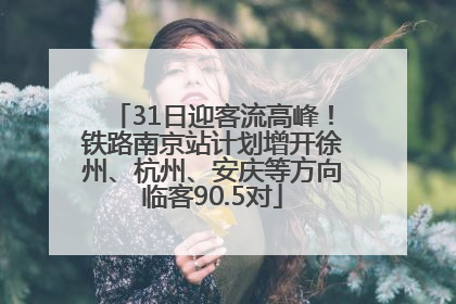 31日迎客流高峰！铁路南京站计划增开徐州、杭州、安庆等方向临客90.5对