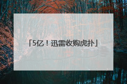 5亿!迅雷收购虎扑