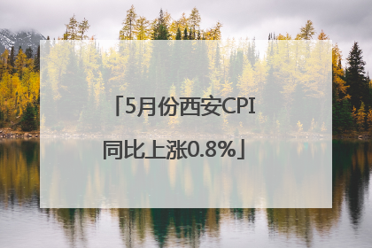 5月份西安CPI同比上涨0.8%