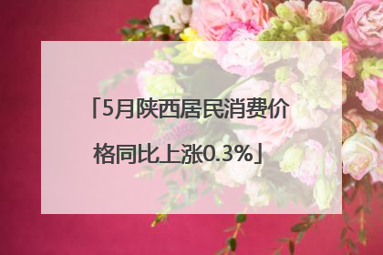 5月陕西居民消费价格同比上涨0.3%