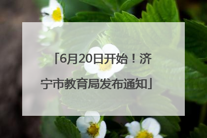 6月20日开始！济宁市教育局发布通知
