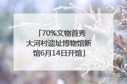 70%文物首秀 大河村遗址博物馆新馆6月14日开馆