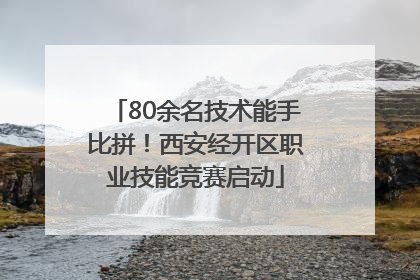 80余名技术能手比拼！西安经开区职业技能竞赛启动