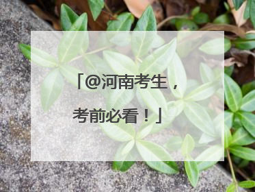 @河南考生，考前必看！