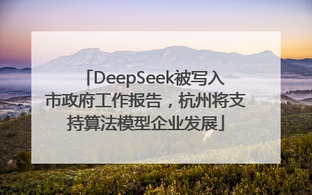 DeepSeek被写入市政府工作报告，杭州将支持算法模型企业发展