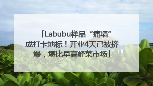Labubu样品“痛墙”成打卡地标！开业4天已被挤爆，堪比早高峰菜市场